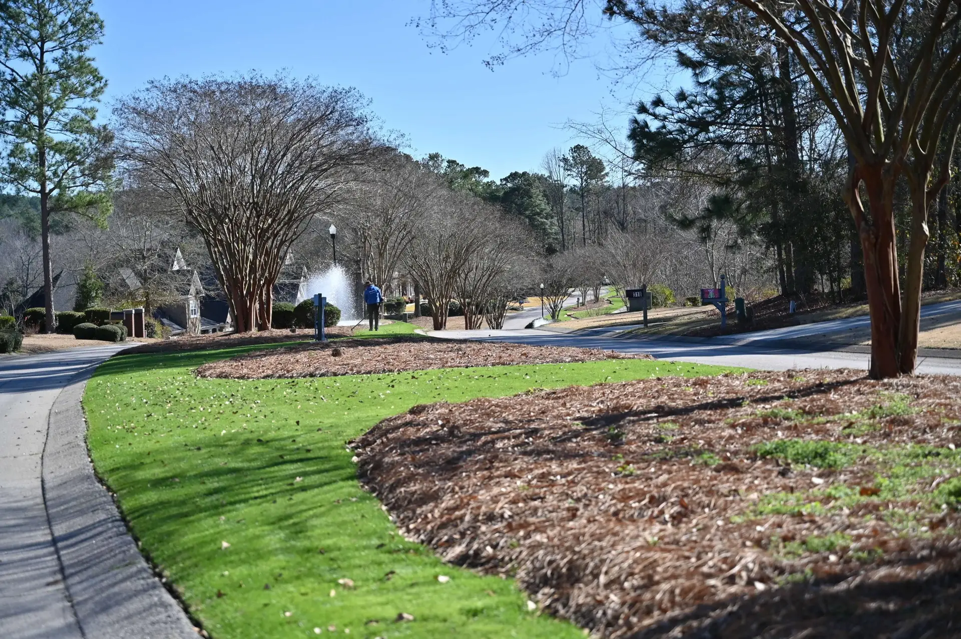 Freshly maintained lawn in Edgefield, SC