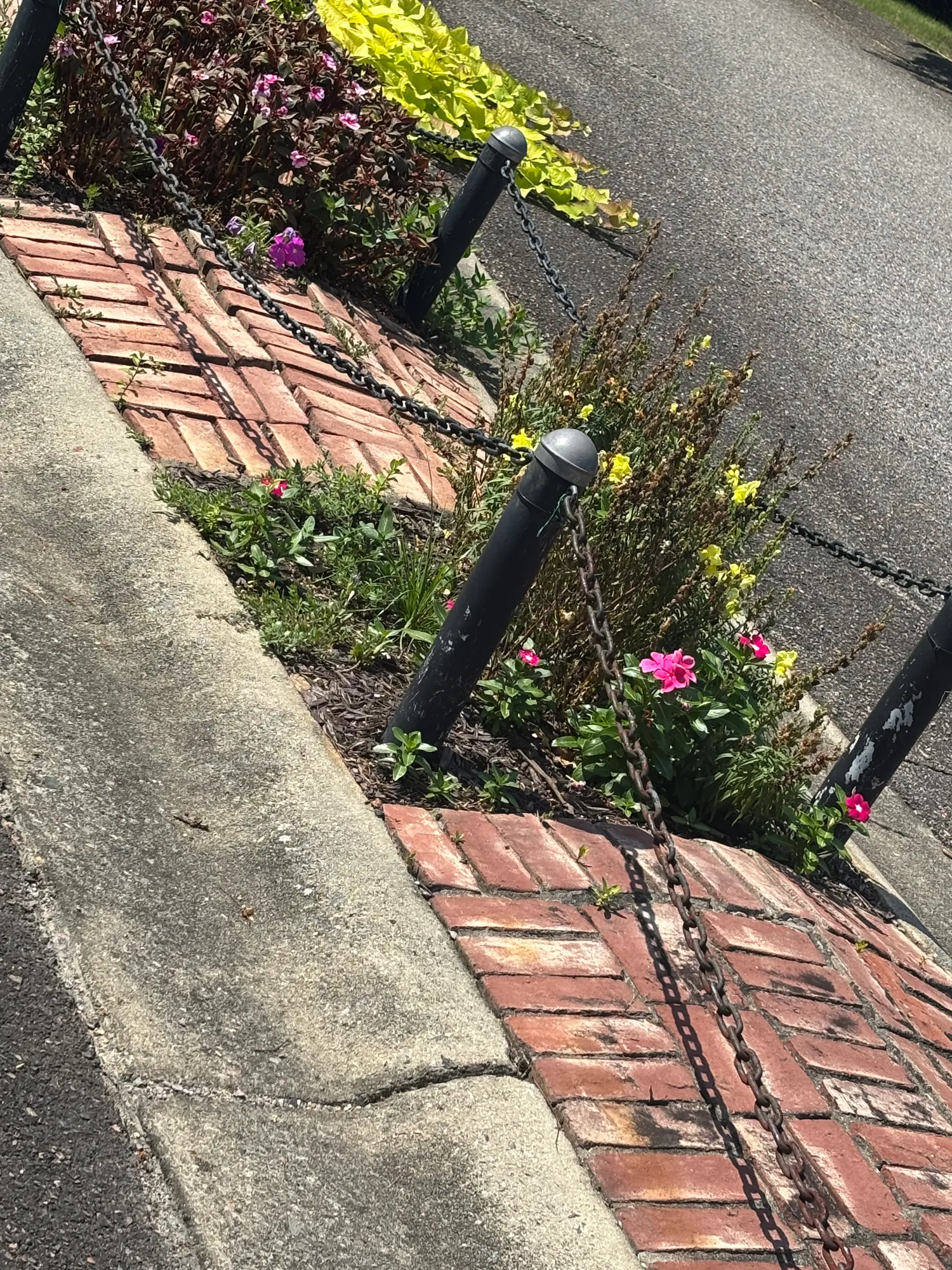 Customer Review in North Augusta, SC — North Augusta, SC (photo 2)